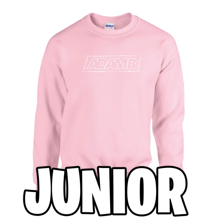 AdamB Junior Pink Sweatshirt